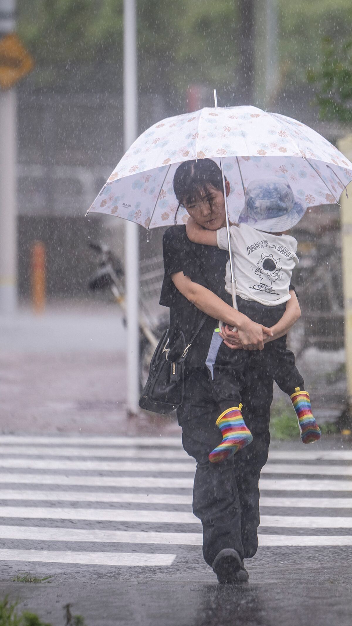 Storm Jangmi Nears Tokyo, Flights Halted